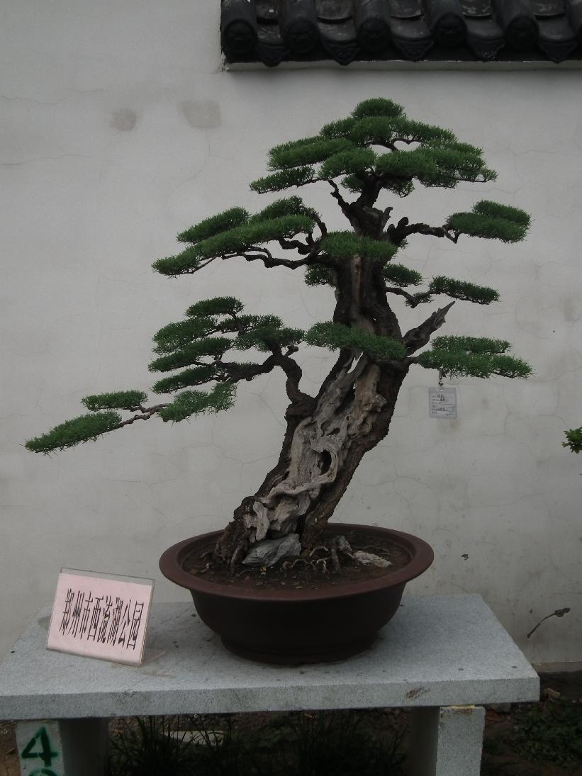 DSCF6339.JPG