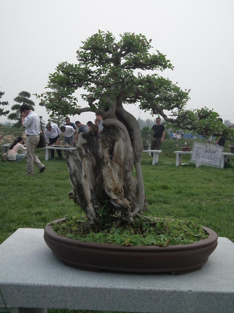DSCF6340.JPG