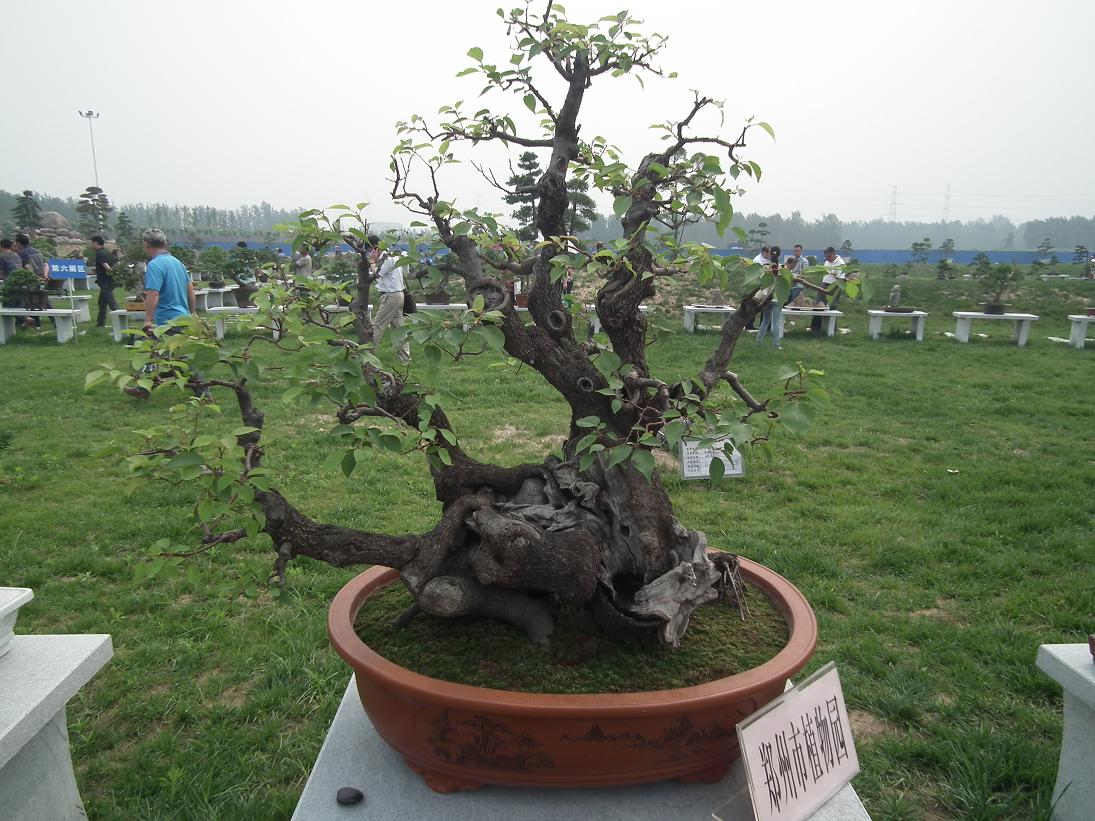 DSCF6341.JPG