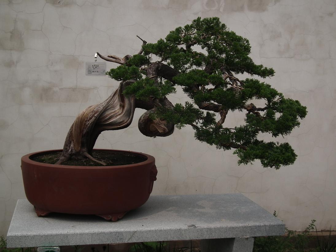 DSCF6344.JPG