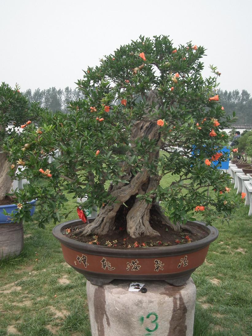 DSCF6348.JPG