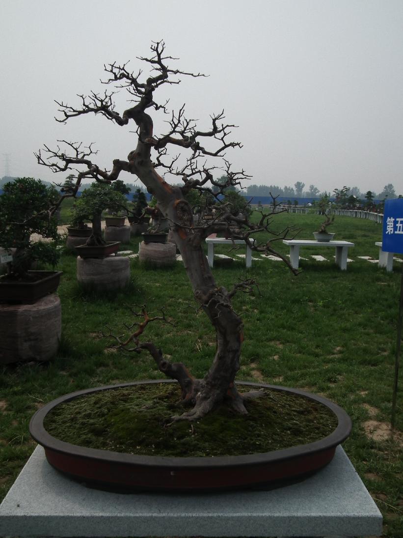 DSCF6351.JPG