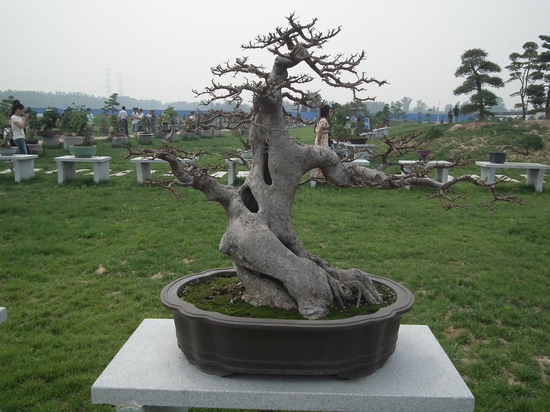 DSCF6356.JPG
