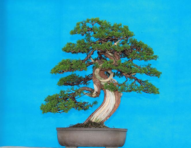 Ƭ 017.jpg