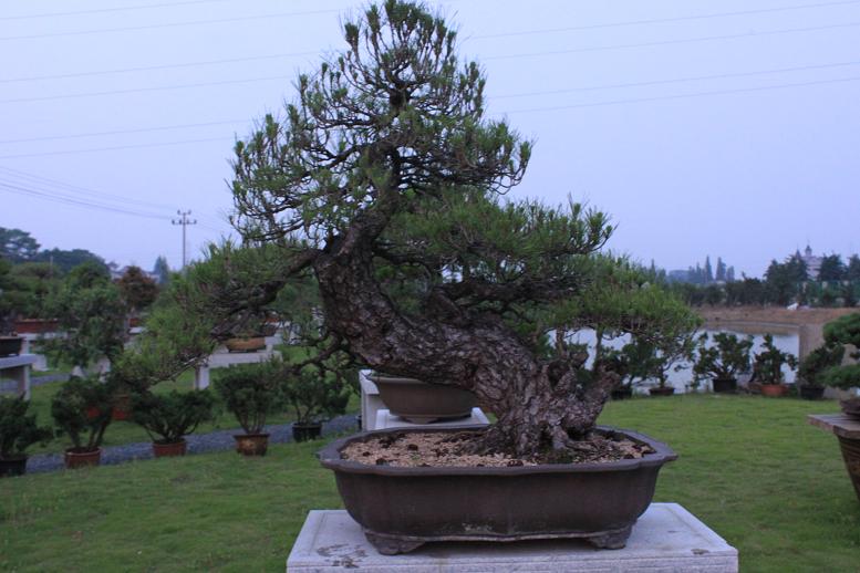 Ƭ 008.jpg