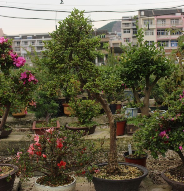 QQͼƬ20130610151314.jpg