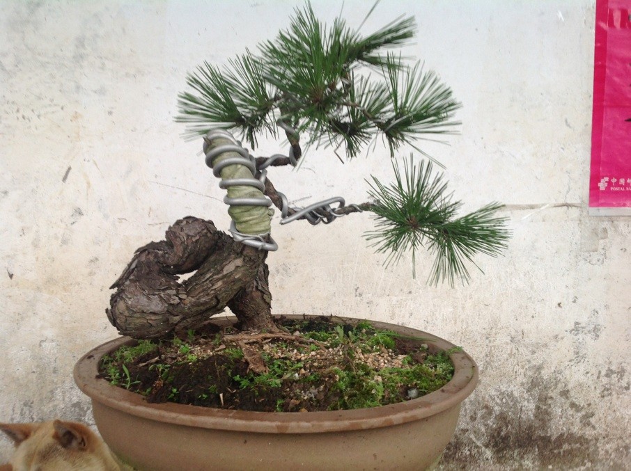 QQͼƬ20130610191145.jpg