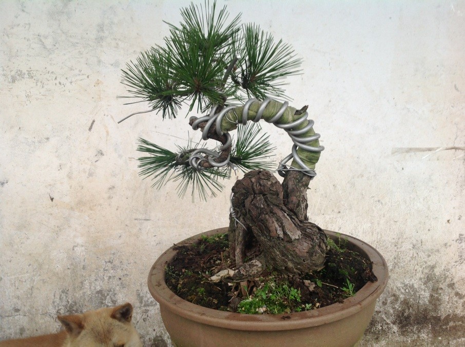 QQͼƬ20130610191149.jpg