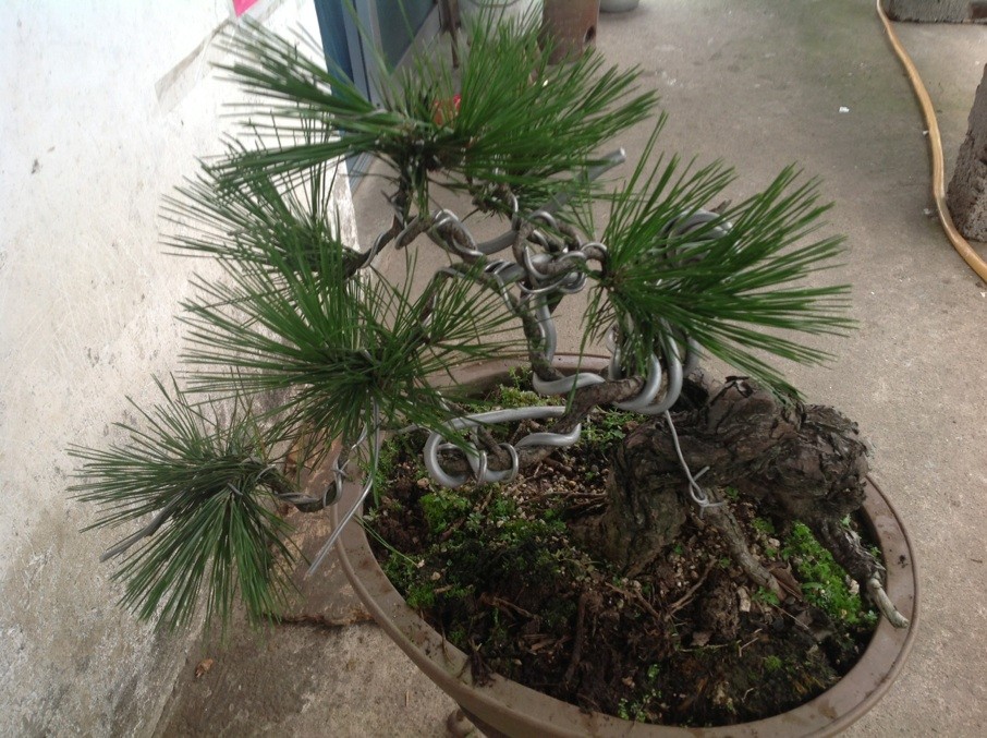 QQͼƬ20130610191154.jpg