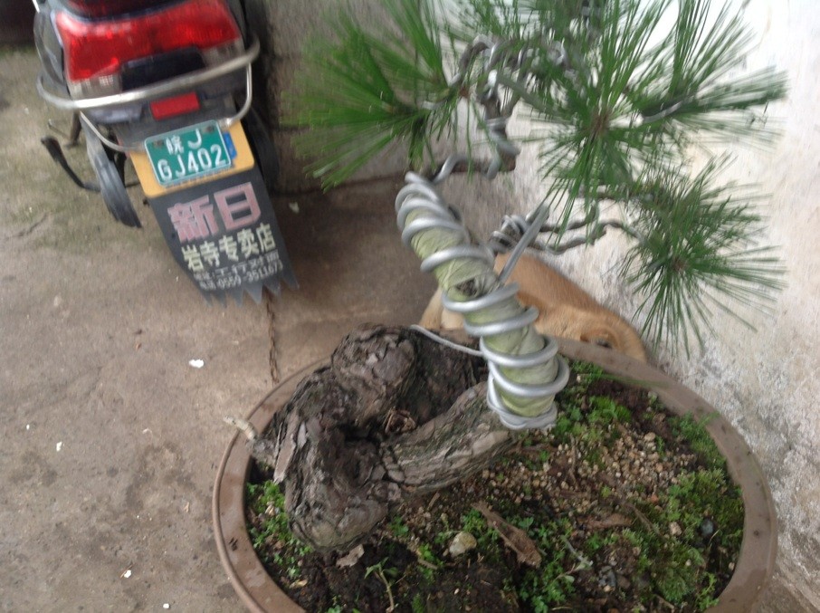 QQͼƬ20130610191158.jpg