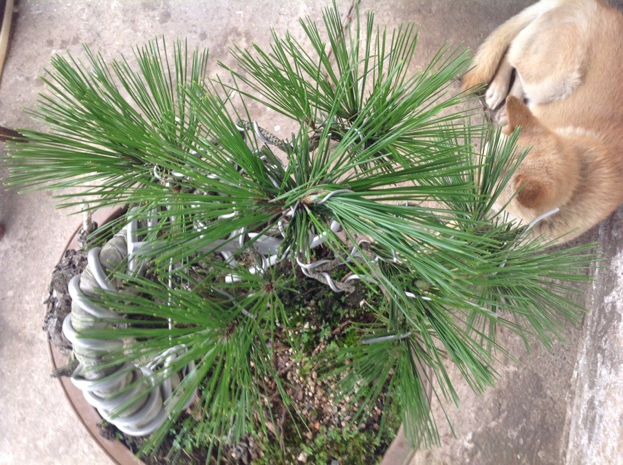 QQͼƬ20130610191201.jpg
