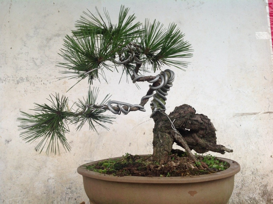 QQͼƬ20130610191131.jpg