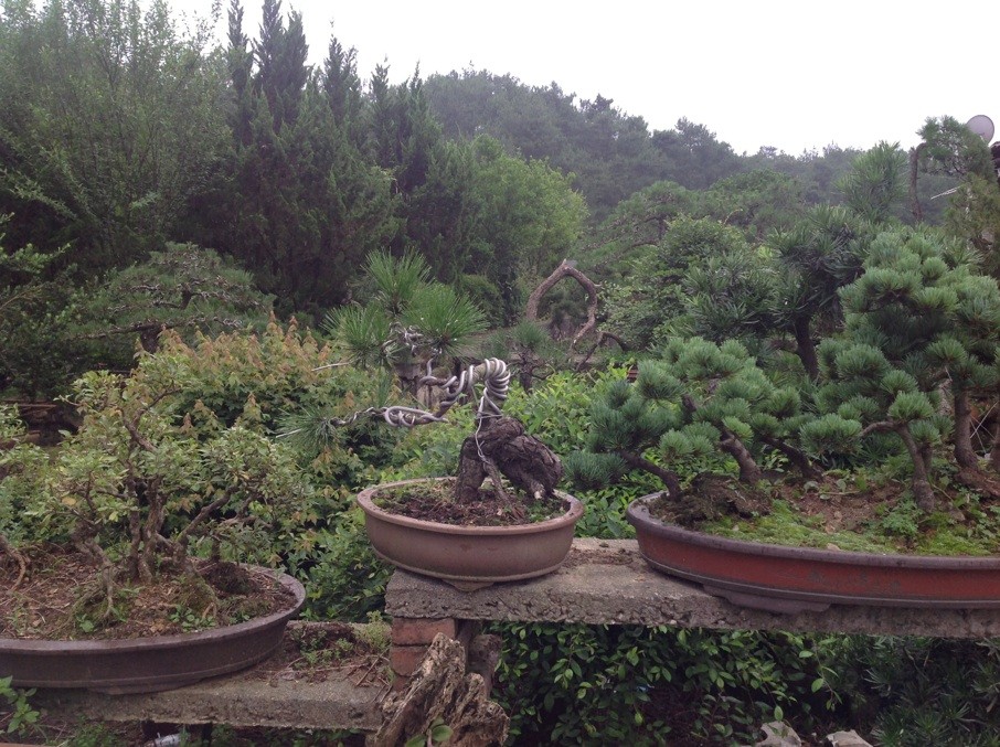 QQͼƬ20130610191137.jpg