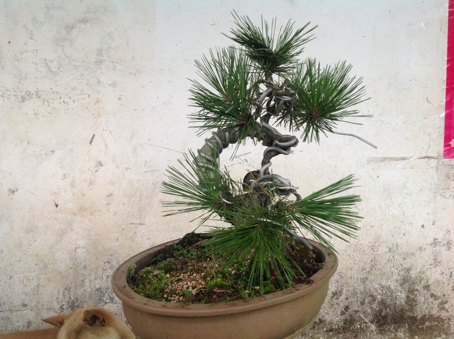 QQͼƬ20130610191141.jpg