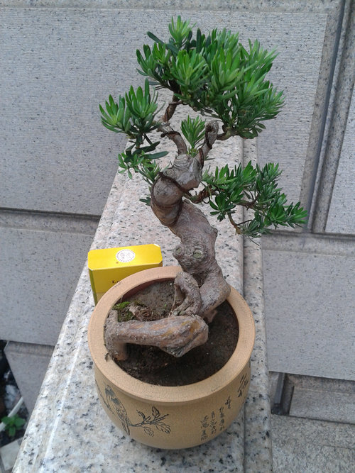 2013-06-10 17.35.15.jpg