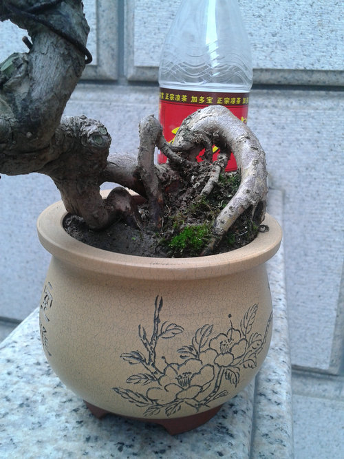 2013-06-10 17.36.45.jpg