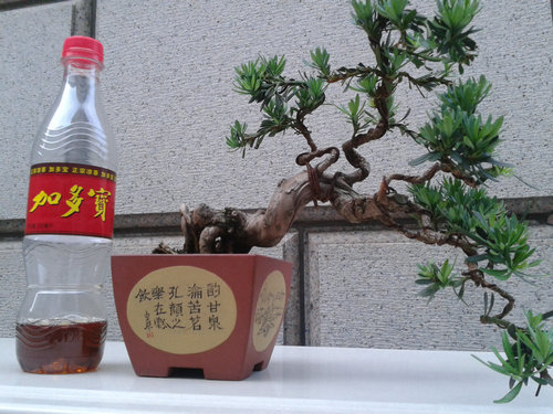 2013-06-10 17.50.11.jpg