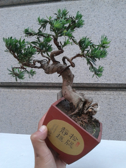 2013-06-10 17.54.09.jpg