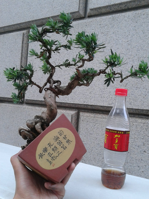 2013-06-10 17.55.11.jpg