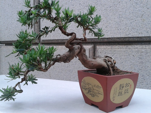 2013-06-10 17.56.07.jpg