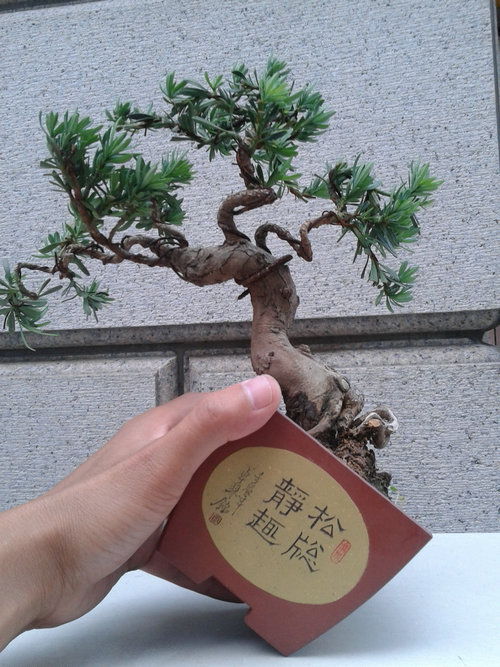 2013-06-10 17.56.52.jpg