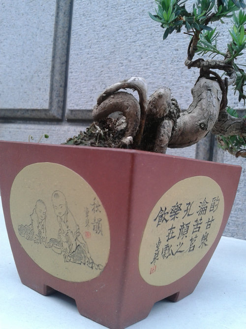 2013-06-10 17.58.16.jpg