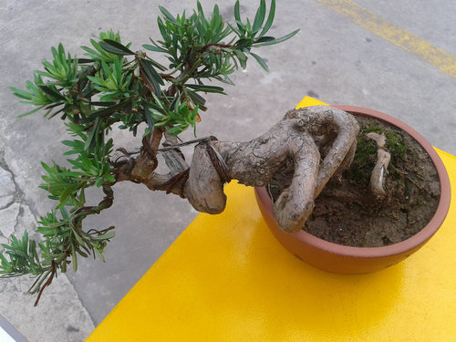 2013-06-10 17.45.58.jpg