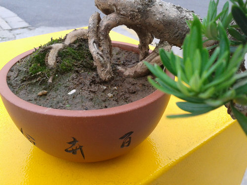 2013-06-10 17.46.54.jpg