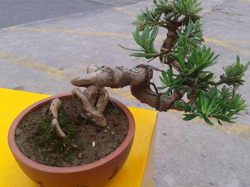 2013-06-10 17.47.42.jpg