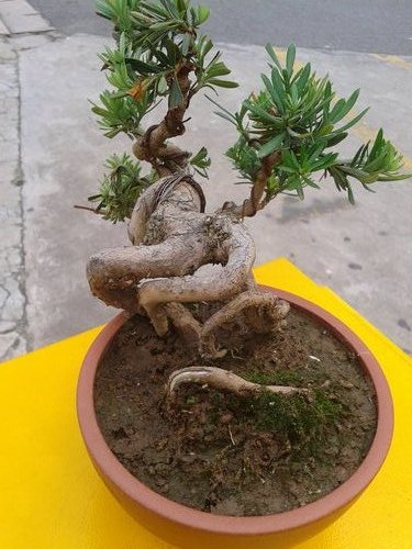 2013-06-10 17.48.08.jpg