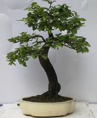 20130610320.jpg