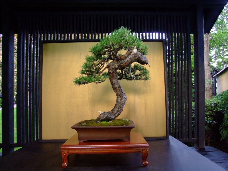 dscf0831.jpg