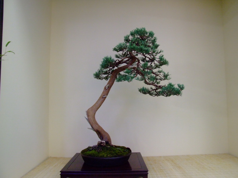 dscf0833.jpg