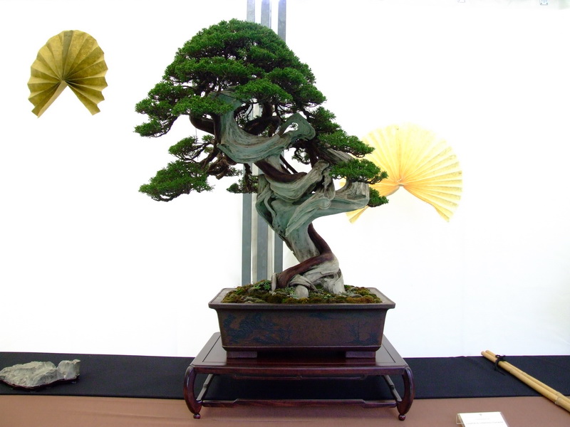 dscf1792.jpg