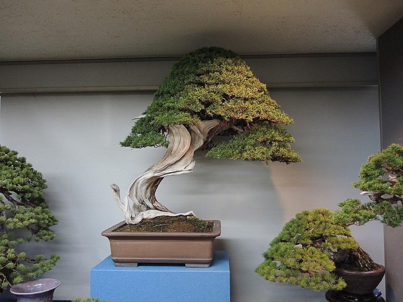 Kokufu Ten 2013 041.jpg