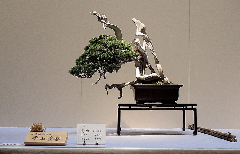 Kokufu Ten 2013 064.jpg