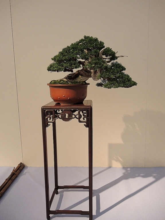 Kokufu Ten 2013 066.jpg