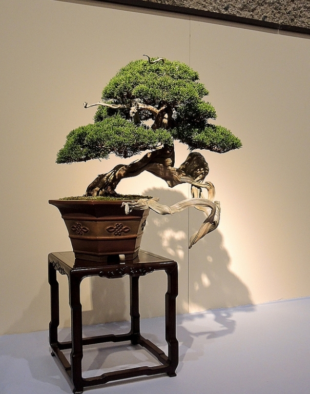 Kokufu Ten 2013 067.jpg