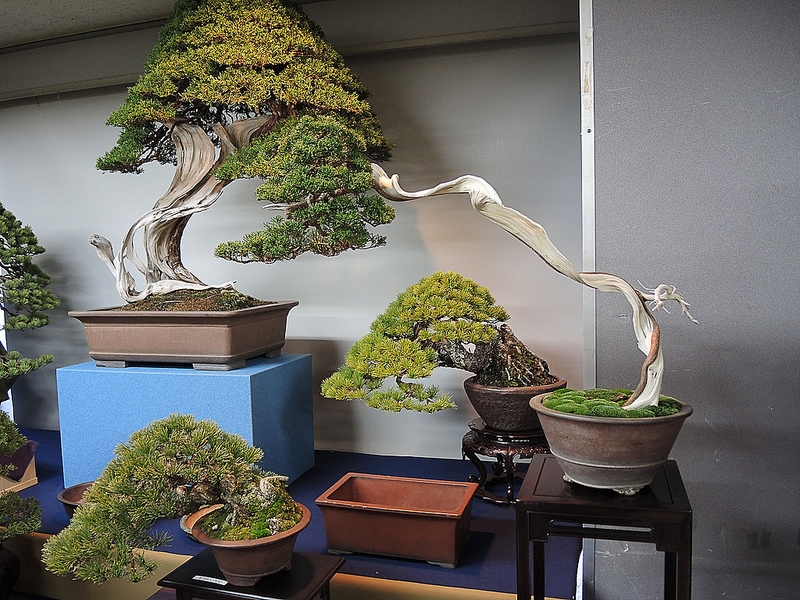 Kokufu Ten 2013 072.jpg
