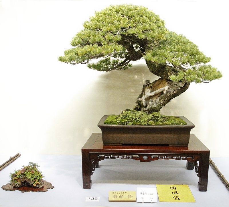 Kokufu Ten 2013 074.jpg