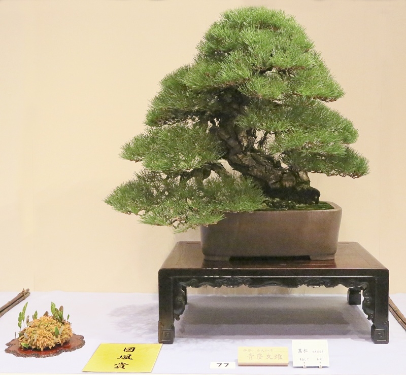 Kokufu Ten 2013 075.jpg