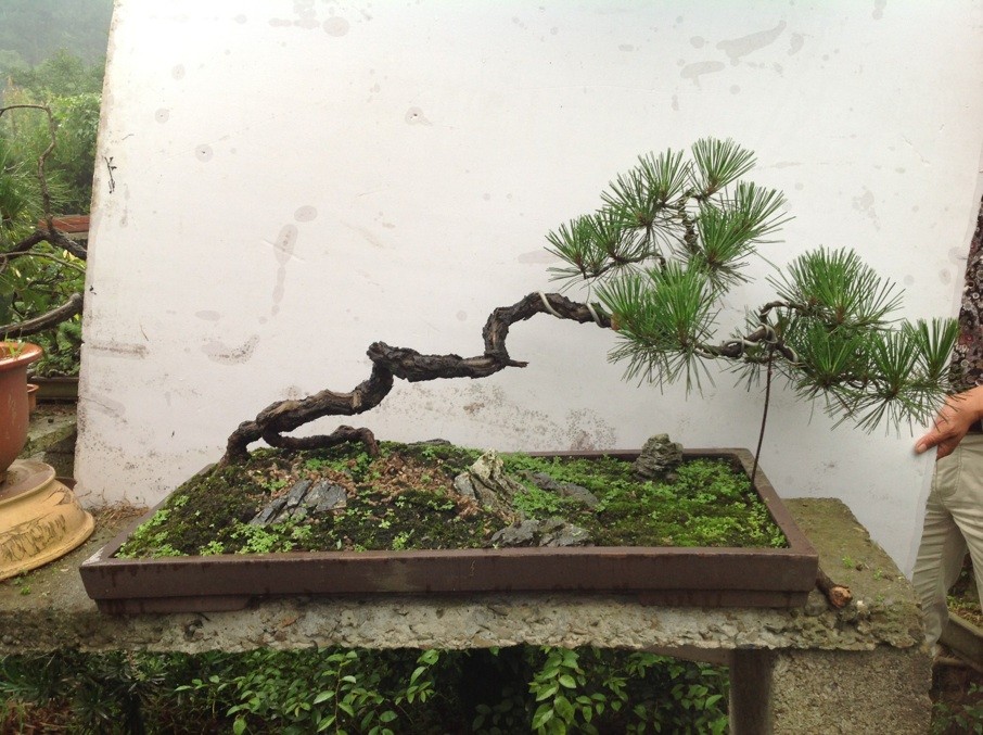 QQͼƬ20130611162746.jpg