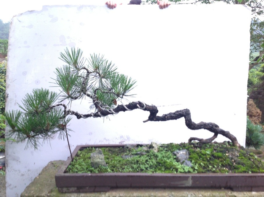 QQͼƬ20130611162802.jpg