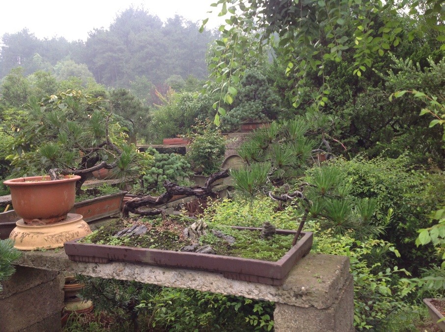 QQͼƬ20130611162807.jpg
