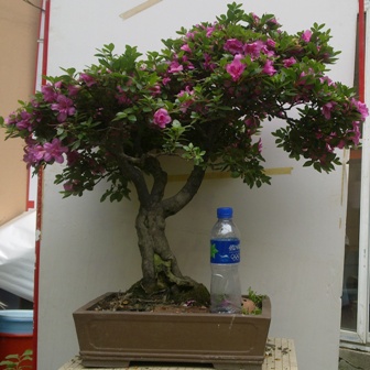 20130611339.jpg