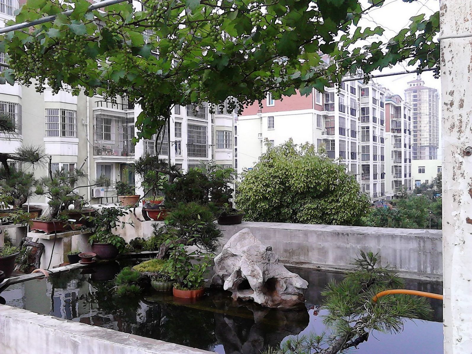 IMG_20130611_153032.jpg