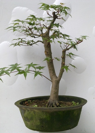 20130612360.jpg