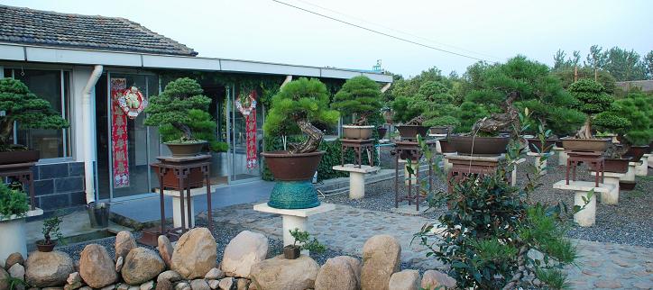 DSC_3041.JPG