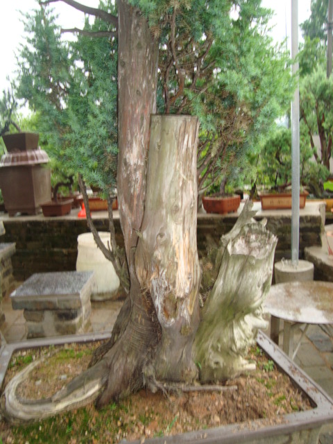DSC07352.jpg