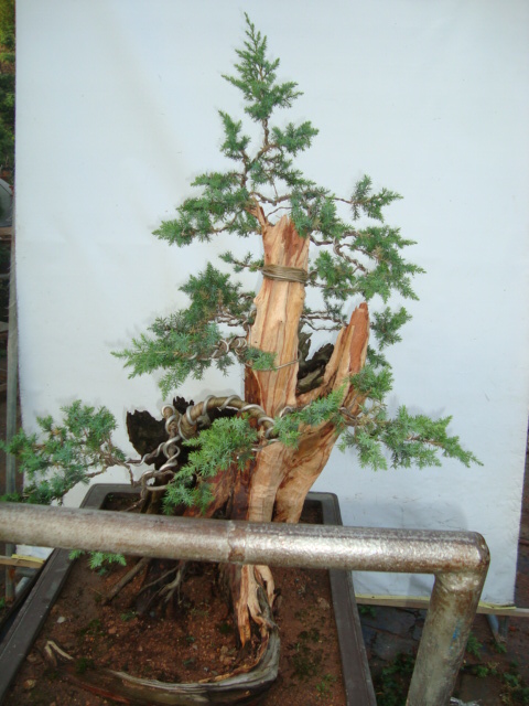 DSC07372.jpg